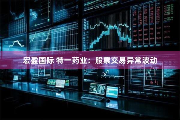 宏盈国际 特一药业：股票交易异常波动