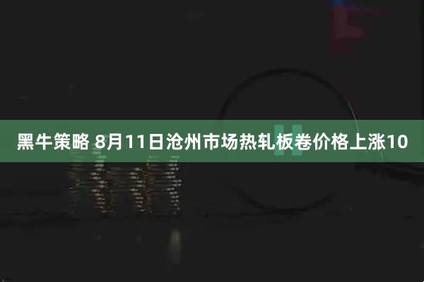 黑牛策略 8月11日沧州市场热轧板卷价格上涨10
