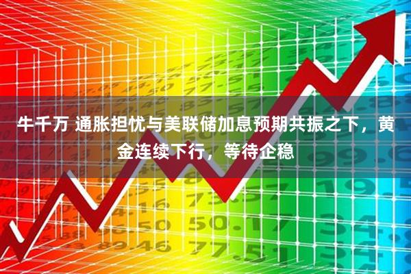 牛千万 通胀担忧与美联储加息预期共振之下，黄金连续下行，等待企稳