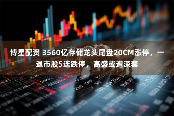 博星配资 3560亿存储龙头尾盘20CM涨停，一退市股5连跌停，高盛或遭深套