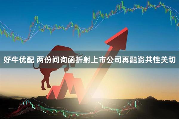 好牛优配 两份问询函折射上市公司再融资共性关切
